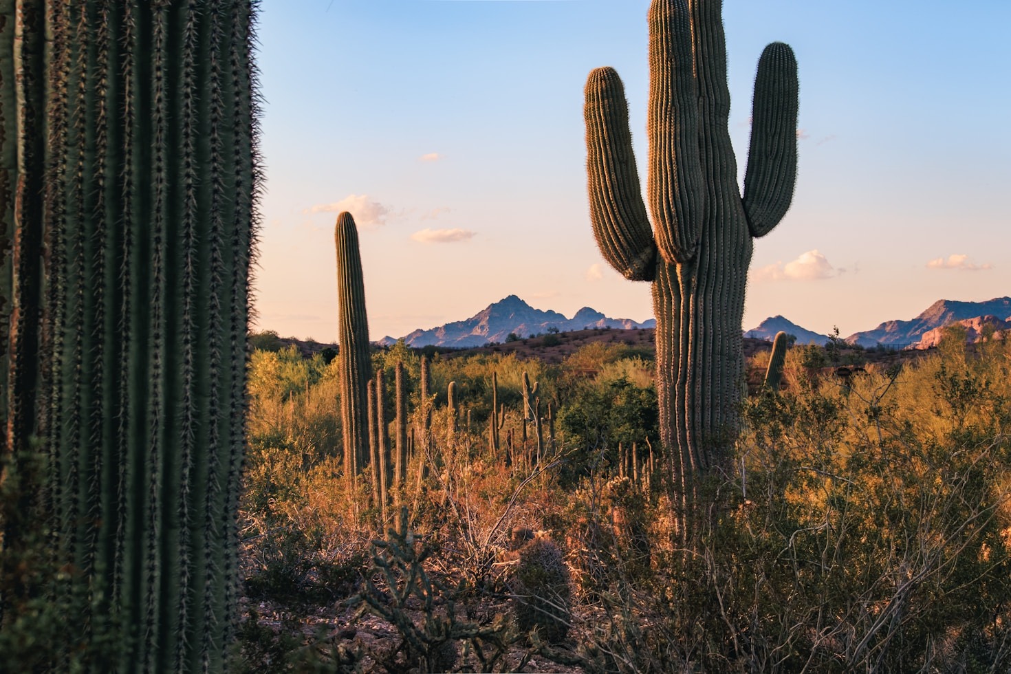 The Benefits of Virtual Financial Services Explained